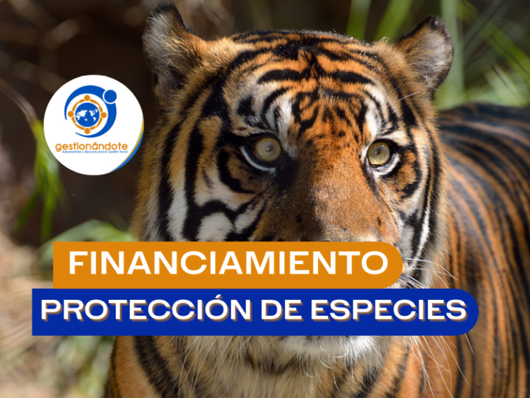 Ensemble Foundation Financia Proyectos Para Proteger Especies En Peligro