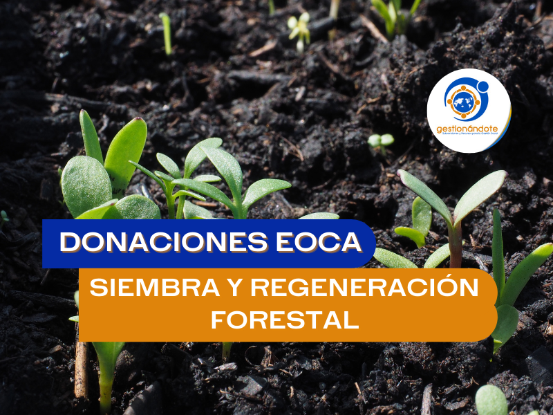 Donaciones EOCA para siembra de árboles y regeneración forestal